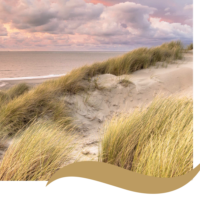 Bredene duinen