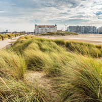 Zeebrugge strand