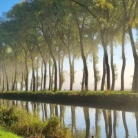 Damse Vaart