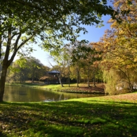Leopoldpark,In,Oostende,–,Ostend,,Belgium,–,24,October,2024